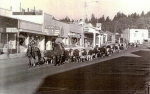 1959 Kreps Cattle Drive on Jewett Blvd