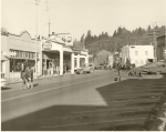 kreps-cattle-drive-through-white-salmon