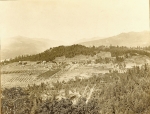 white-salmon-early-1900s